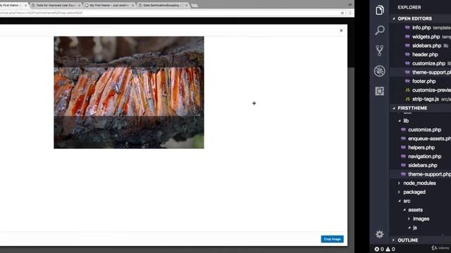 Creating An Option For The Logo I Adding Theme Options Using The Customizer API I Speed Technology