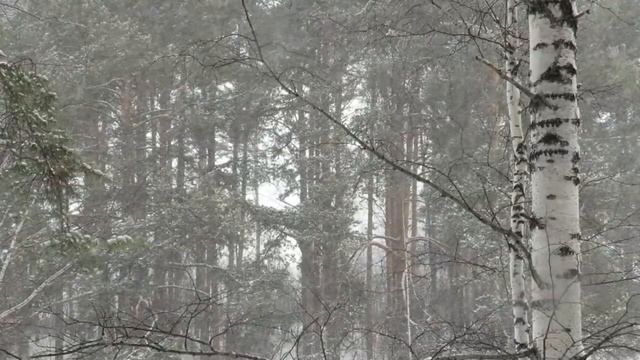 Программист