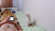 Позитив от группы АнЕкДоТы С кАрТиНкАмИ ☜═㋡ ✵