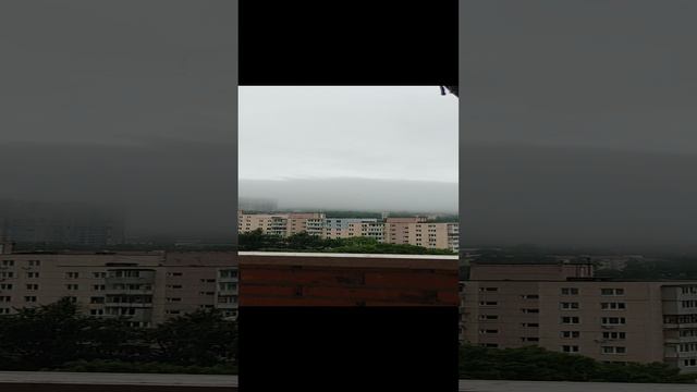 чайки над городом кружатся