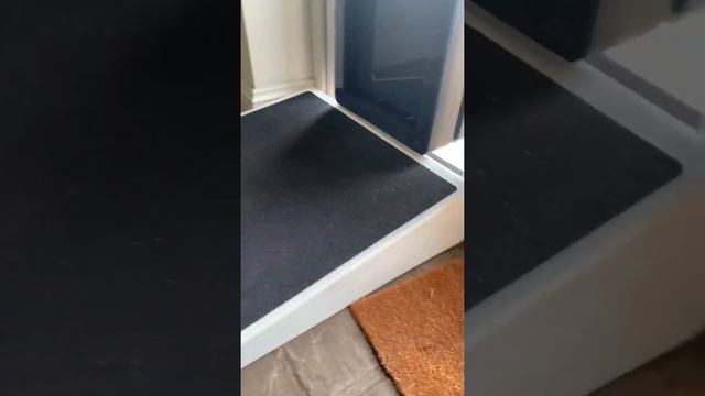 Pet walk dog door review