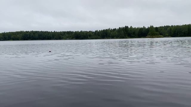 Плывем на рыбалку . Озеро Смирновское.