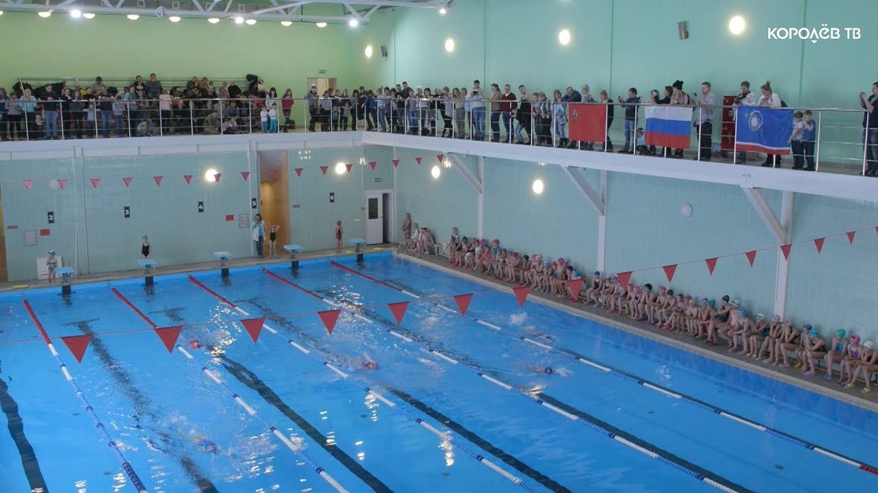 70 чемпионок: все участницы городских соревнований по плаванию получили медали