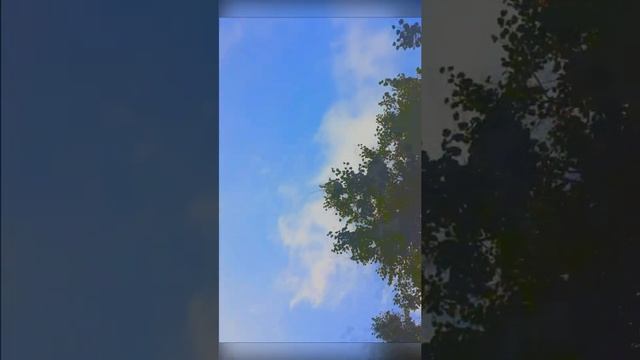 ТАКОЕ НЕБО ГОЛУБОЕ