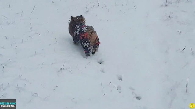 Бодрое утро! Всем позитива 12.11.21г.