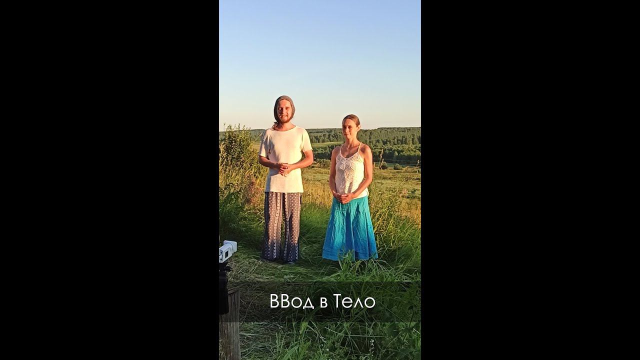 Импульс Жизни. ВВод в тело.