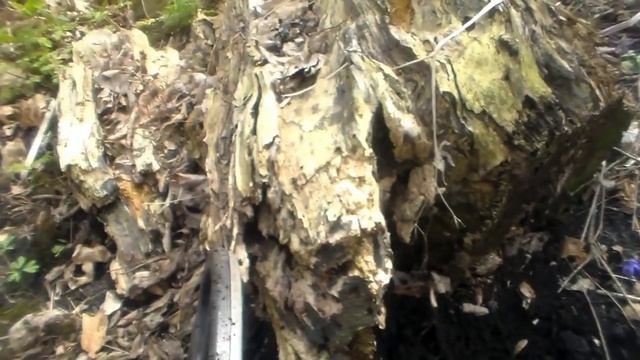 ПОИСК КЛАДОВ И ЗОЛОТА Старинное ювелирное украшение и отличный коп по старине