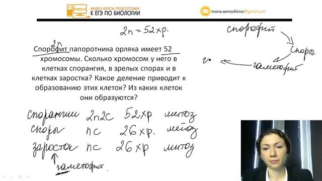Повторялка | Жизненные циклы растений