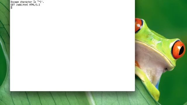 Conexión a servidor HTTP mediante telnet