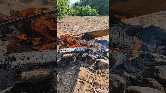 ЖГУ КОСТЁР НА ЗАЛИВЕ В СЕСТРОРЕЦКЕ