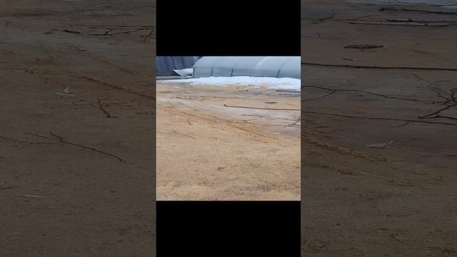 Уборка