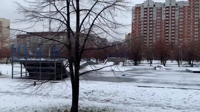 Прогулка по улице Фучика рядом с Парком Южный, Ботанический микрорайон, г. Екатеринбург, 15.11.2023