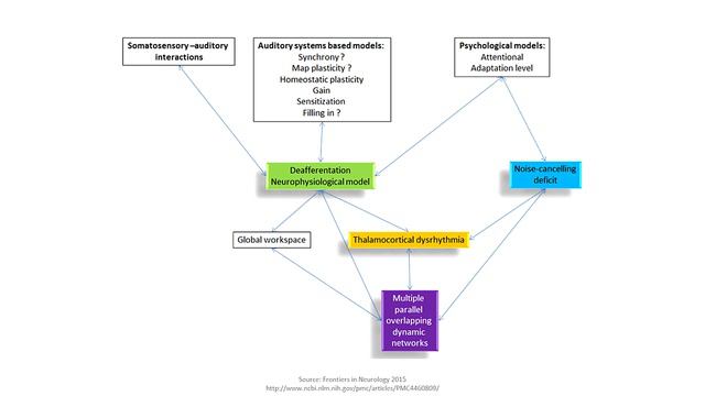 Visual Snow Syndrome and Its Relationship to Tinnitus