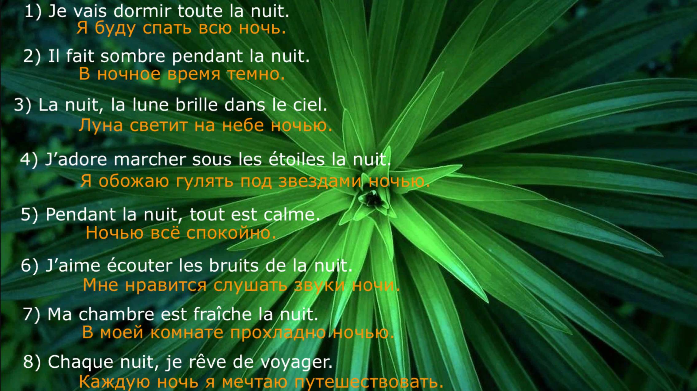 А1 – предложения – слово «Nuit» и слово «Jour»