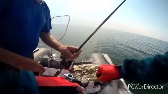 Троллинг и джиг в Балтийском море. Судак. Лодка Bush. Рыбалка в Калининграде.