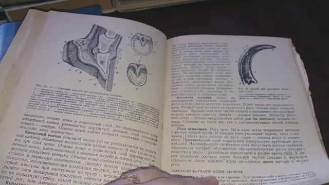 Книги студентам специальности ветеринарии