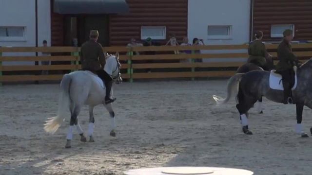 Выездка - видео. Показательные выступления