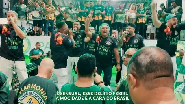 SAMBAS DE ENREDO 2024 - RIO DE JANEIRO SAMBAS CAMPEÕES  sambasdeenredo brasil carnaval2024