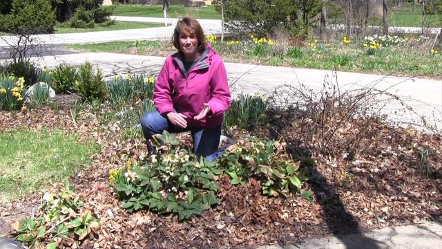 Get Off to a Good Start with a Spring Garden Clean Up