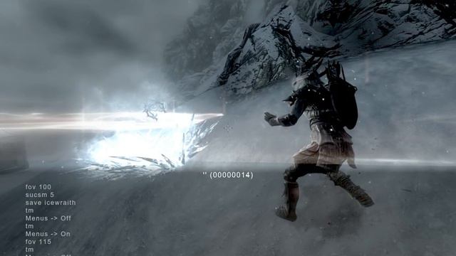 Skyrim: Ice Wraiths & Cameras (Fun w/ Console Commands)