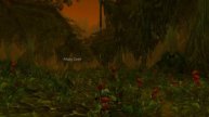 World Of Warcraft Quest Info: Breath of Mist