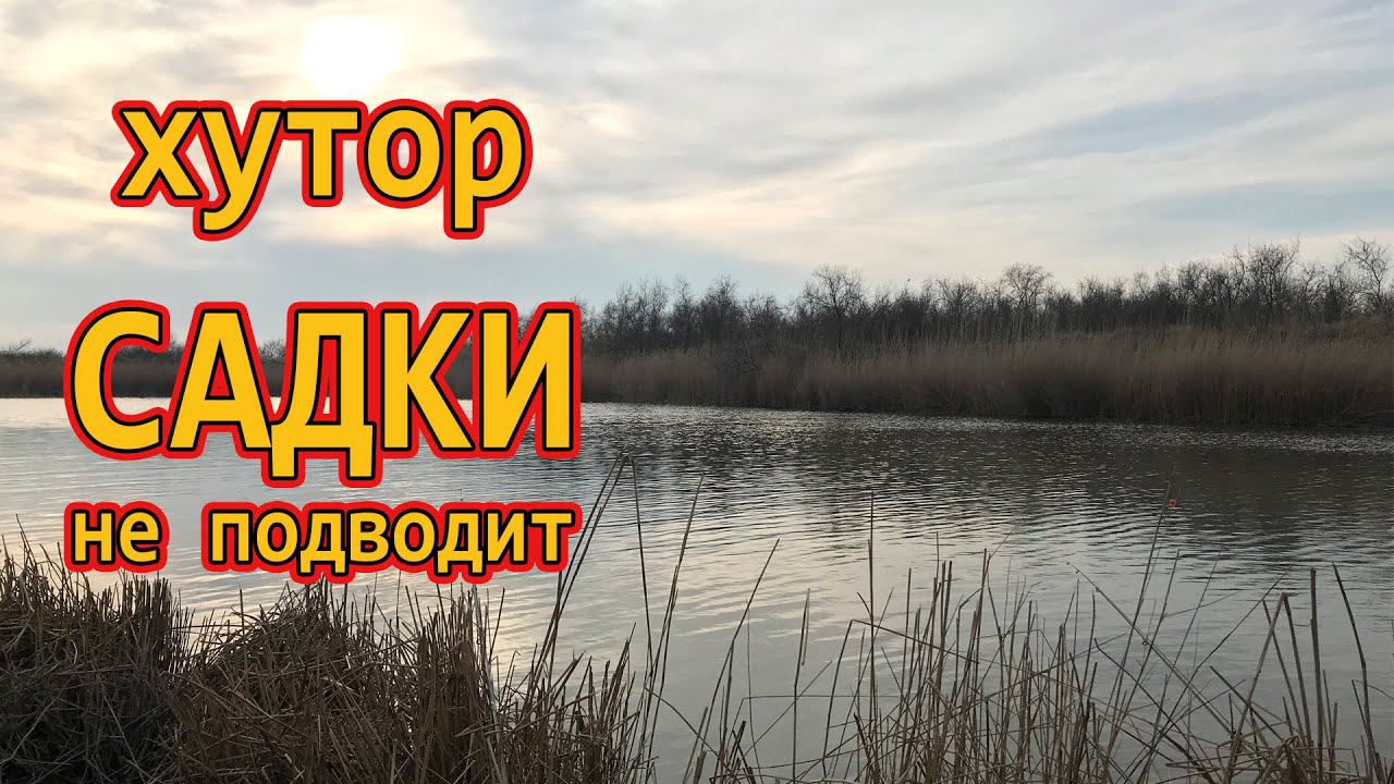 Хутор Садки не подводит! /// Рыбалка на кубани 2022 /// Выпуск № 21