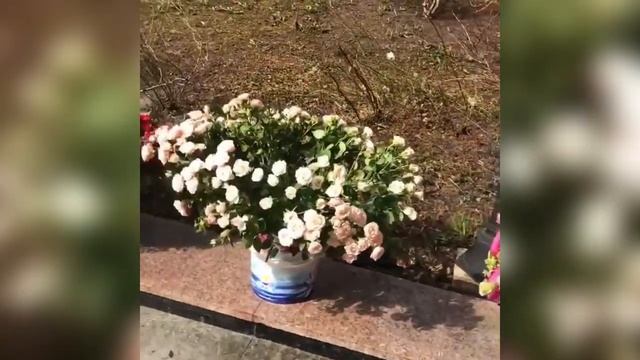 «Я - счастливая женщина!»: Алла Пугачева показала уставленные цветами сад и террасу замка