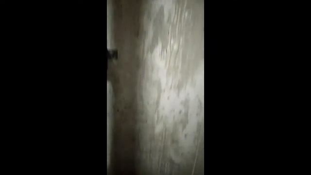 Посторонний шум лифта отис 2000R