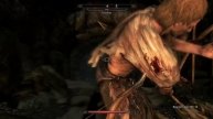 Skyrim ветренный пик