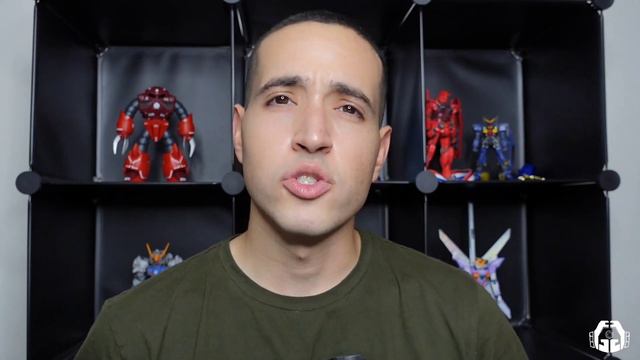 MG Providence Gundam Featuring SMS Paints