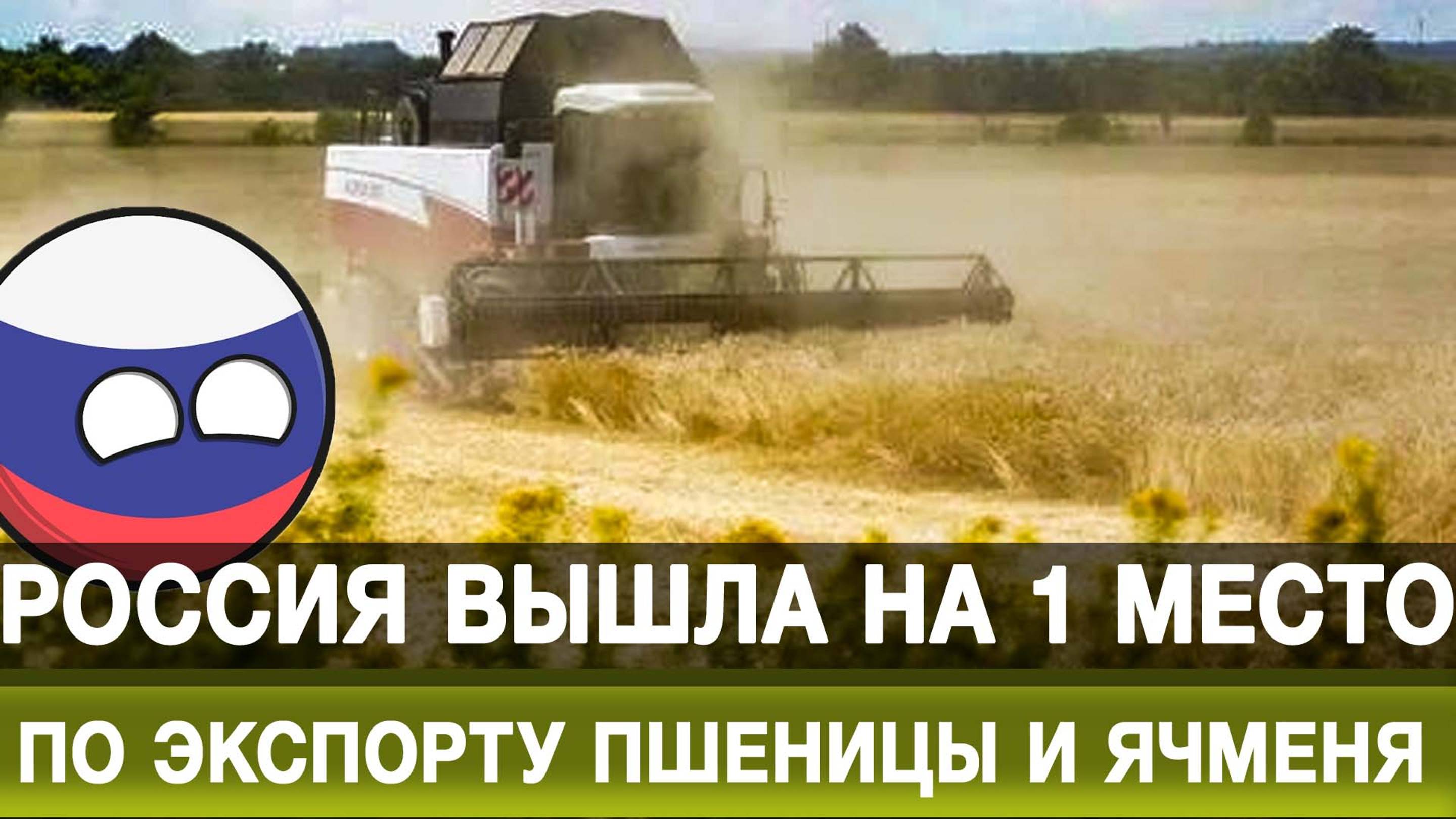 Россия вышла на 1 место по экспорту пшеницы и ячменя