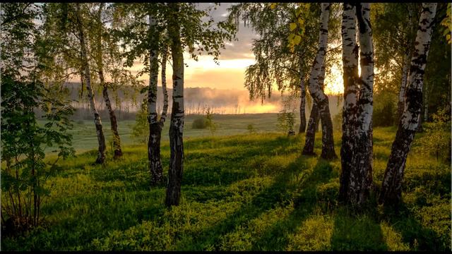 Матушка ЗемляРусская Песня!!!