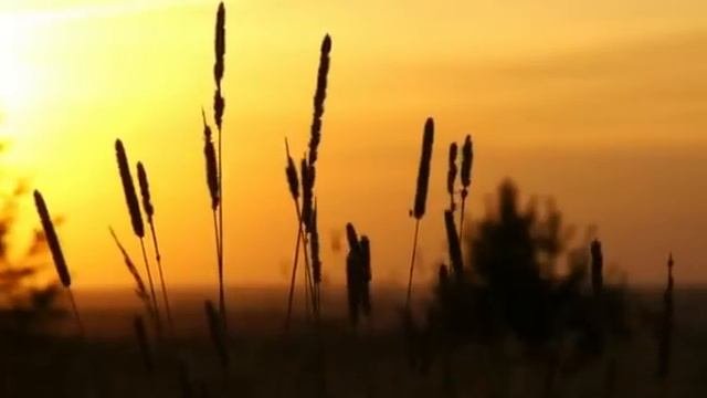Steve Jablonsky-Infinite White