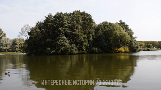 РАЗДВИНУЛИСЬ САМИ И ПОМАНИЛИ К СЕБЕ. Жизненные истории и аудио рассказы