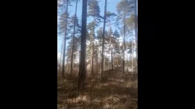 Мой фильм  Участок в Вырице