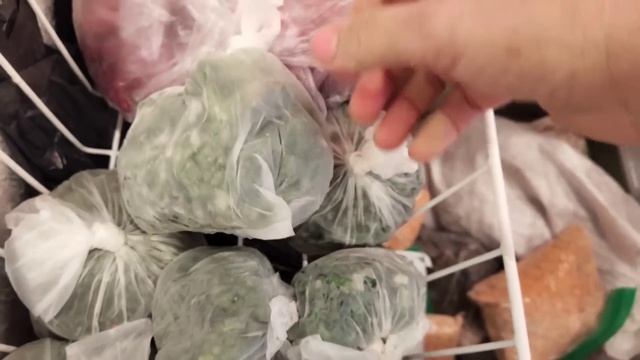Заглянем в морозильную камеру/ Кому работать а котам гулять