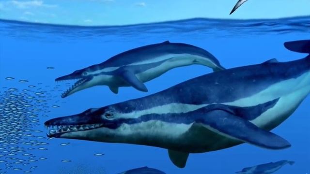 Cool Fossils: Coronodon