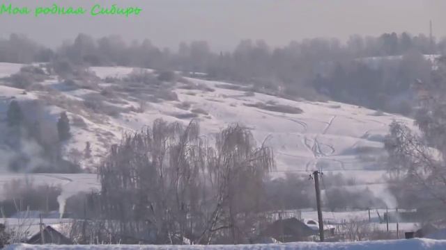 Утро. Обычное наше утро.Гуси.Куры. Кот прибежал с ночевки...На деревьях появились звезды.