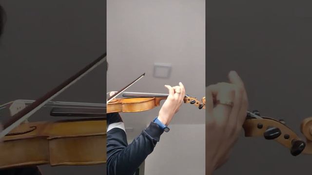Violino antigo 4/4 Gesetzl.