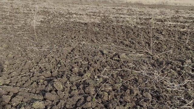 Зимняя обработка почвы прицепным лущильником ЛДГ- 3 ? Лущение травы в пояс трактором ЮМЗ-6 Зимой