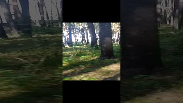 утренний проминат часть 1