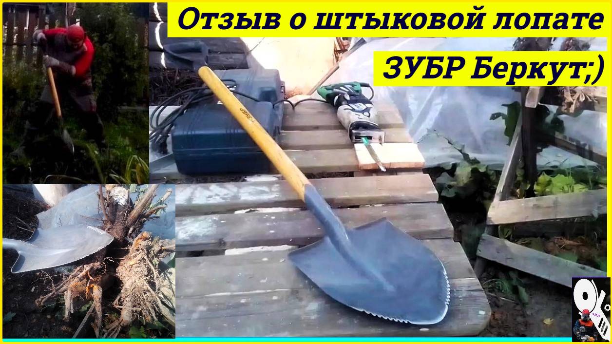 Отзыв о штыковой лопате Зубр Беркут;)