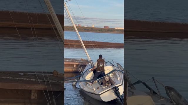 Остался на воде последний #shorts #shortsvideo #artaperm