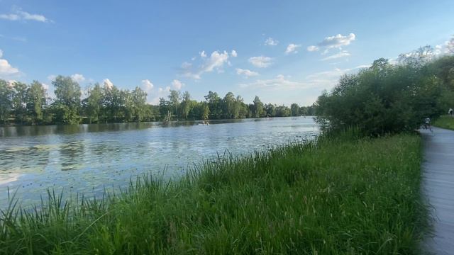 #кувшинки #москва #река #архангельское #июнь2024