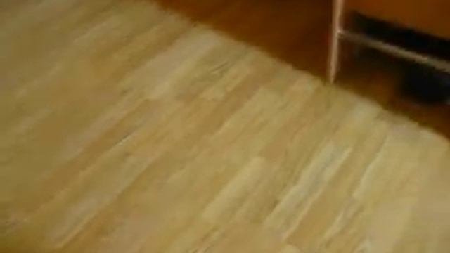 Санаторий Свислочь