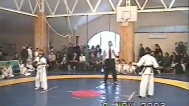 AGNI KEMPO CHILDRENS IN KIEV CHAMPIONSHIP OF KYOKUSHINKAI KARATE   GOLDEN CHESTNUT Movie