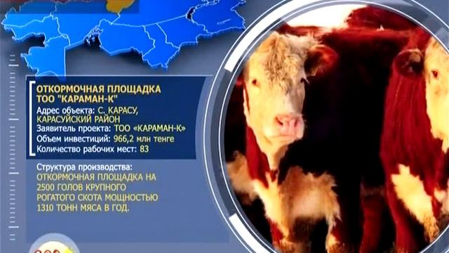 Откормочная площадка. Караман-К