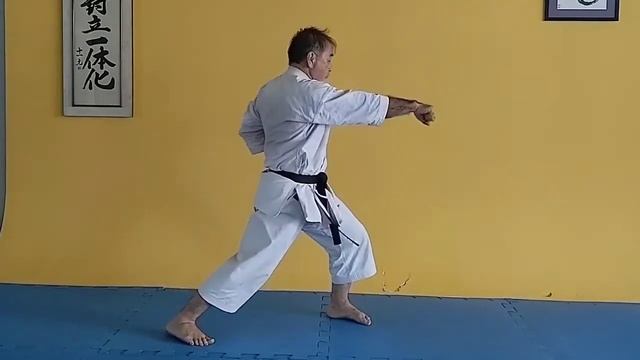 КАРАТЭ  !!!!!!!!!   БАЗА !!!!!!!!   Gyaku e Kizame Zuki -  ХИКИТЭ