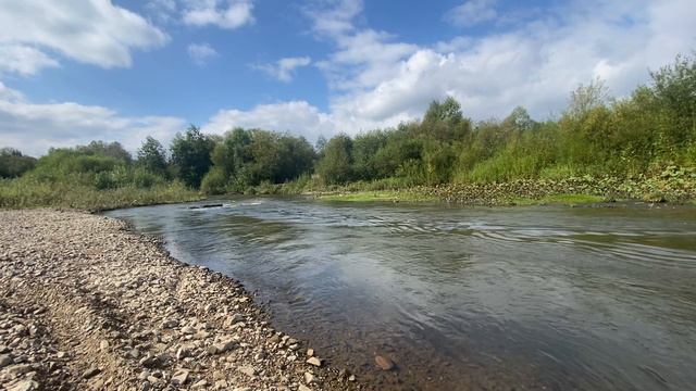 Relax. Лесная река, звуки воды