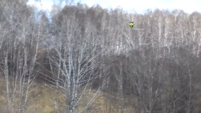 Kamenka, flying RC helicopters T Rex500 T Rex550 p10